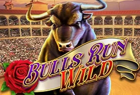 Bulls Run Wild