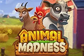 Animal Madness